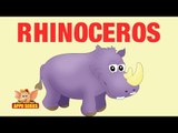 Animal Facts - Rhinoceros