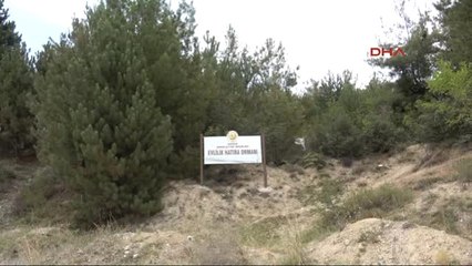 Karabük Hatıra Ormanında Baz Istasyonuna Tepki