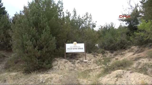 Karabük Hatıra Ormanında Baz Istasyonuna Tepki