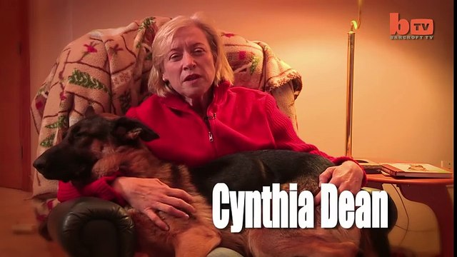 Dog Whisperer- Trainer Walks Pack Of Dogs Without A Leash_HIGH