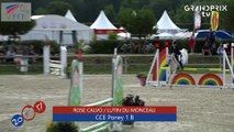 CCE Poney 1 B FFE