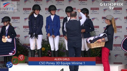 CSO Poney 3D Equipe Minime 1