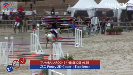 CSO Poney 2 D Cadet 1 Excellence