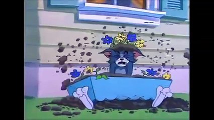 Tom and Jerry - Safety Second