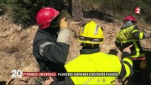Pyrénées-Orientales : plusieurs centaines d’hectares ravagés
