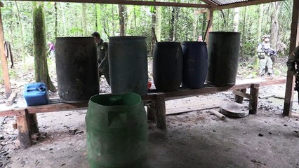 Cultivos de coca y producción de cocaína aumentan en Colombia