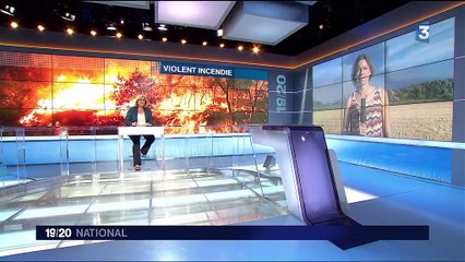 Bouches-du-Rhône : près de 400 hectares auraient brûlés dans un incendie