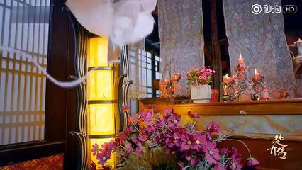 Sở Kiều - Vũ Nguyệt tái hợp