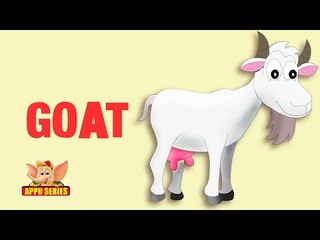 Animal Facts - Goat