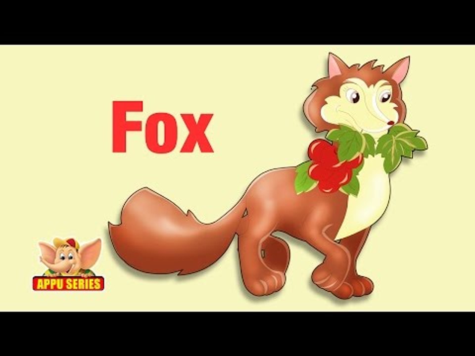 Animal Facts - Fox