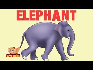 Animal Facts - Elephant