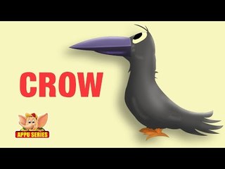 Animal Facts - Crow