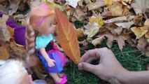 Y Anás niños pequeños jugar esconder y buscar y han divertido en el colorido oxidado hojas