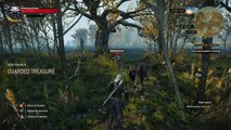 The Witcher 3: Wild Hunt – I didn't know that was possible...