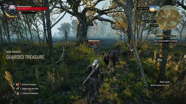 The Witcher 3: Wild Hunt – I didn't know that was possible...