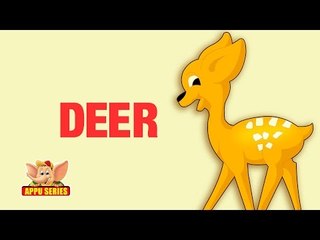 Animal Facts - Deer