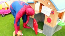 Bats toi drôle maisons dans vie petit jouer réal homme araignée homme araignée super-héros Tikes sont irl