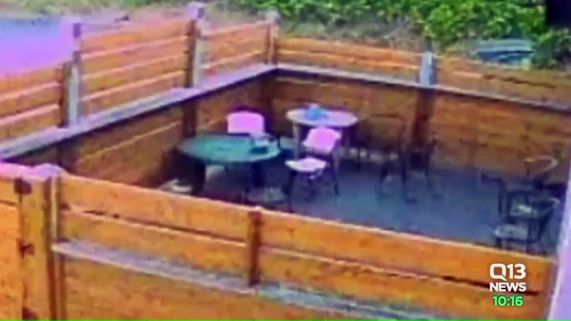 Police Searching for 'The Worst Burglar' After Man is Caught on Camera Breaking Into Restaurant