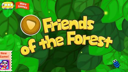 Baby Panda Learn Animal Traits and Behaviors | Friends of The Forest | Babybus Kids Games