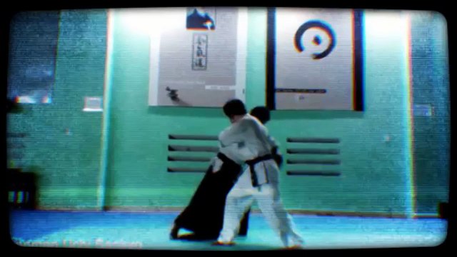 aiki dojo saigon-150515