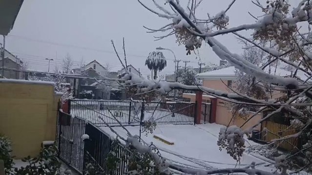 Snow Falls in Santiago in Rare Winter Cold Snap