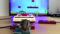 そうだ マリオ、やろう。Let’s play Super Mario Bros game!  by Hamster