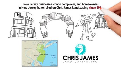 Impressive NJ Lawn Care and Landscape Design From a Pro