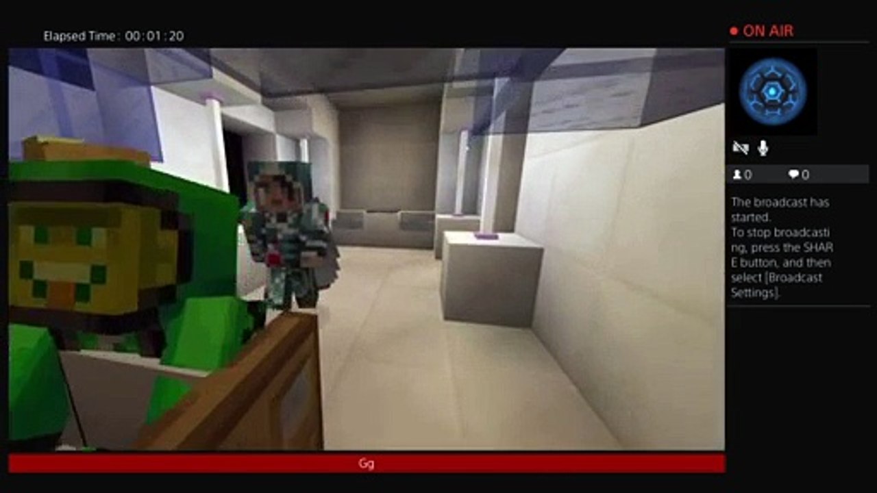 Gameing with supertyler2006 (174)