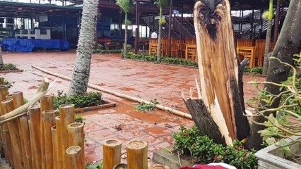 Bão Salas làm tốc mái nhà, quật đổ nhiều cây xanh ở Thanh Hoá