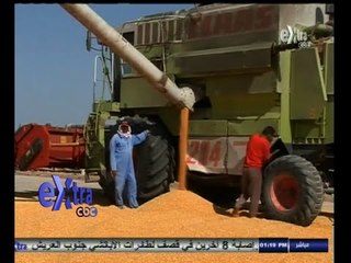 #غرفة_الأخبار | وزير التموين : توفير احتياجات شمال سيناء من السلع التموينية