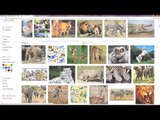 Google Search Tip 13 - Basic Image Search