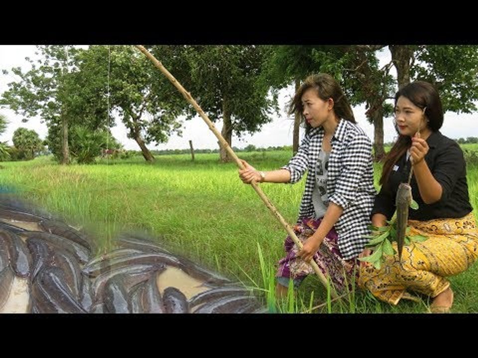 Amazing beautiful girl Fishing in Cambodia - Khmer traditional fishing by Cam Amazing