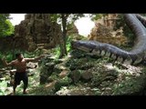 Awesome Snake Trap Using Plastic Bottles Catch Snakes By Cam Amazing
