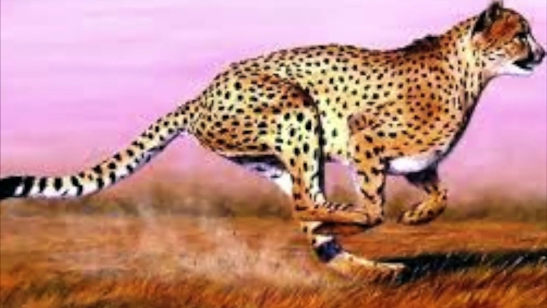 ⁣Fast Running by Keith Bridgwood (Brigwood) from Sports Running