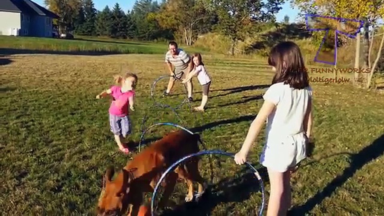 20.Super ridiculous BABY & TODDLER & KID videos #20 - Funny and cute compilation - Watch and laugh!