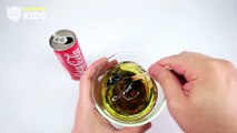 How To Make Real Coca Cola Bottle Shape Jelly! DIY Lemon Coca Cola Gummy - MonsterKids