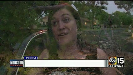 Northwest Valley slammed by storm, severe damage in Peoria