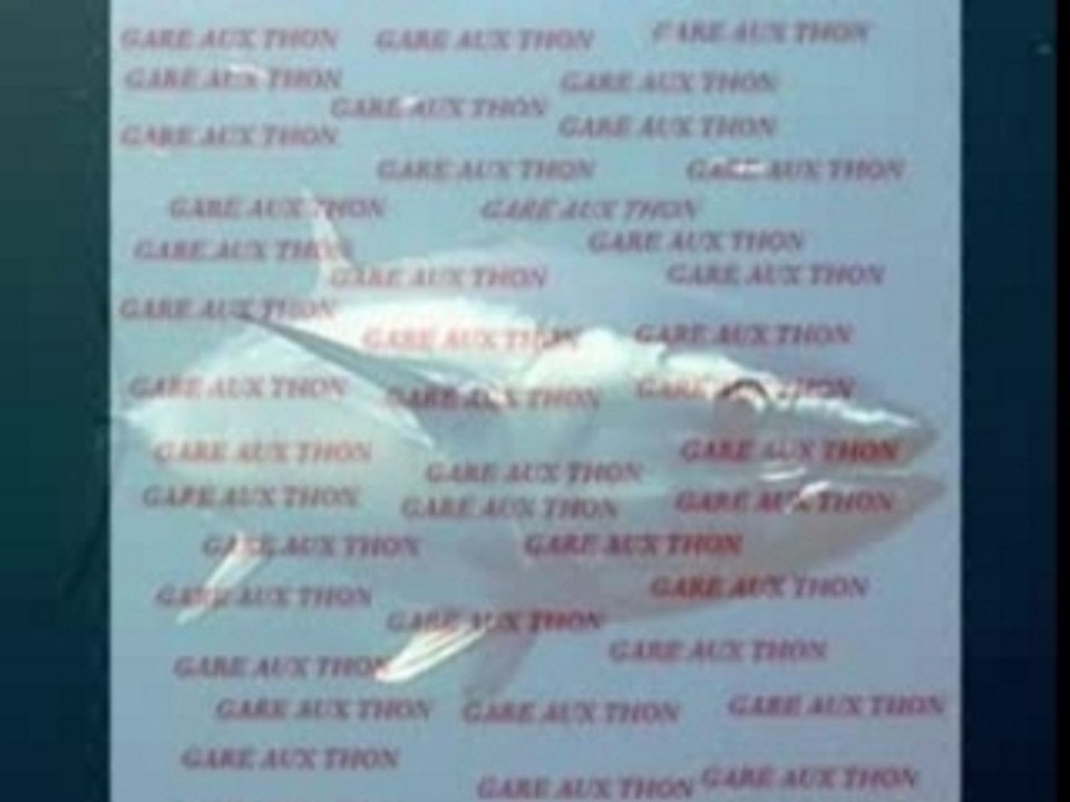 Gare aux thon