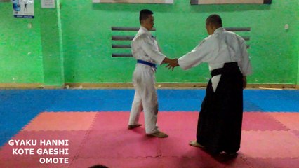 gyaku hanmi kote geashi omote
