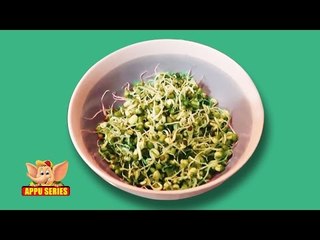 Easy Cooking - Learn to Make Sprouts