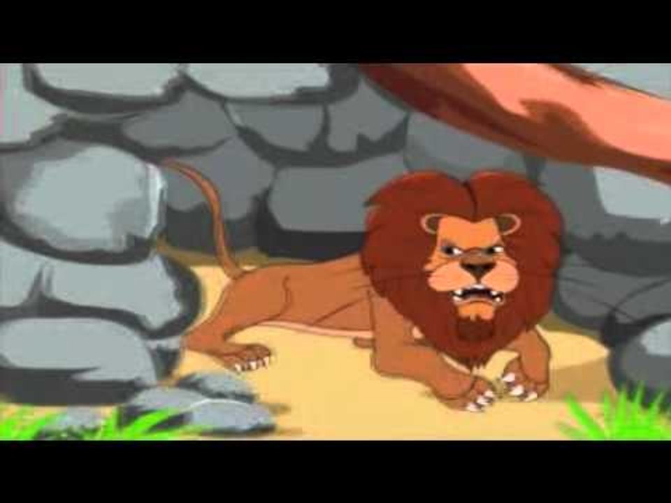 The Animal Kingdom - Lion