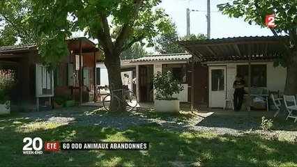 下载视频: Un bénévole d'une SPA désemparé devant le nombre en fort hausse d'abandons d'animaux - Regardez