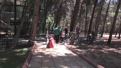 Gaziantep Turizmine Şempanze "Can" Dopingi