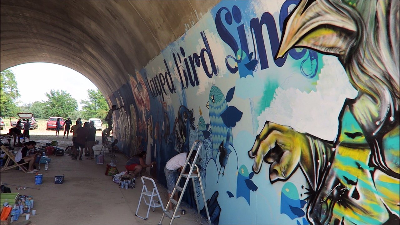 Quand le pont des Lônes accueille des oiseaux et des poissons géants…