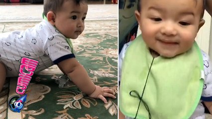 Merangkak, Arsya Dikawal Anang - Cumicam 16 Juli 2017