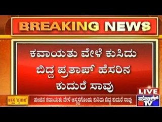 Mysuru: Horse Collapses During Drill In Mysuru's Banni Mantapa