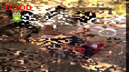 WhatsApp comedy funny video Indians funny video amazing funny video-arehube-part 21