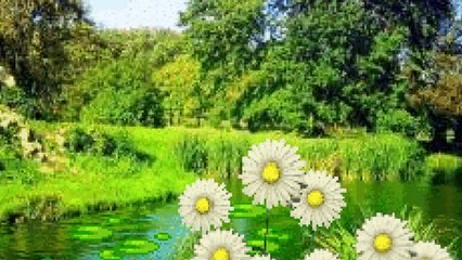 Дина Гарипова. Кони птицы.