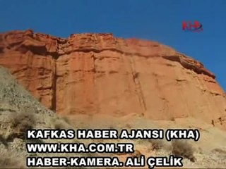 Koyunlar intihar etti - 200 koyun telef oldu