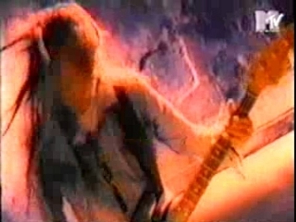 JINGO DE LUNCH DOG' S DAY